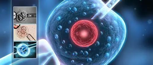 【生殖科普】一代试管与二代试管的选择