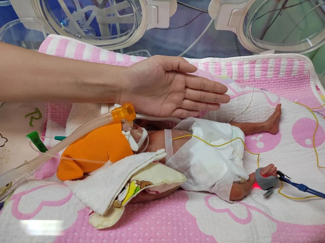 【医疗时讯】疫情下创造的生命奇迹