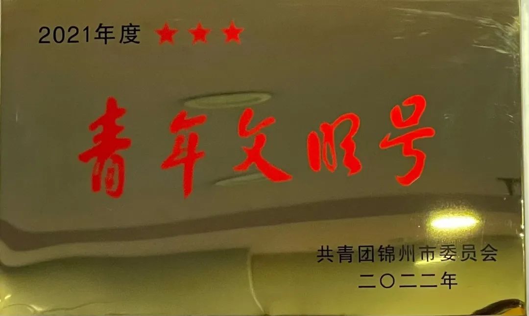 【医院荣誉】锦州市妇婴医院妇二科喜获“锦州市青年文明号”荣誉称号