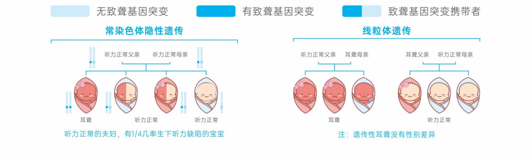 【全国爱耳日】耳聋基因筛查很有必要