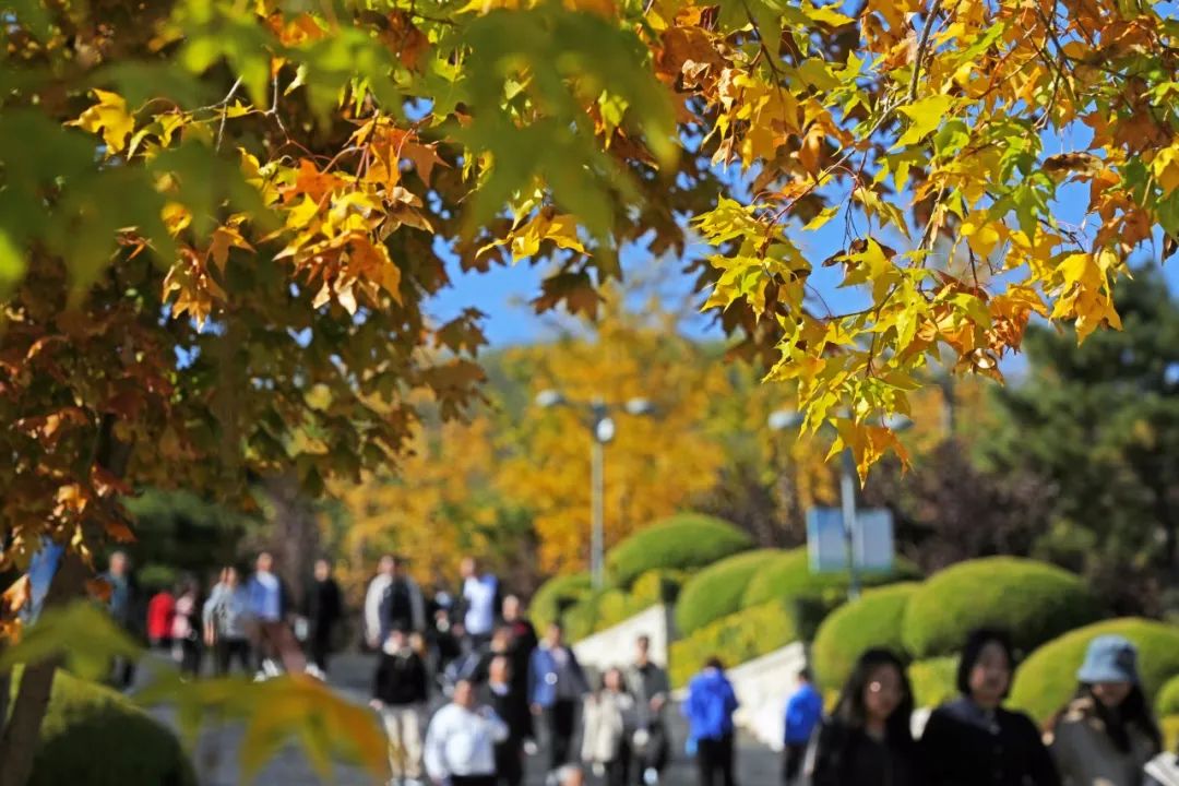 【职工之家】喜迎重阳 大爱妇婴 团结奋进 勇攀高峰