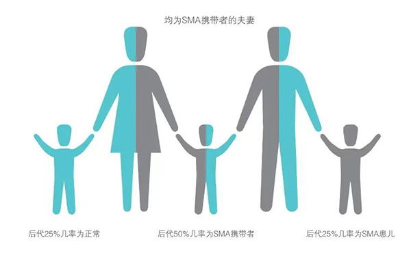 【健康科普】不罕见的罕见病——SMA