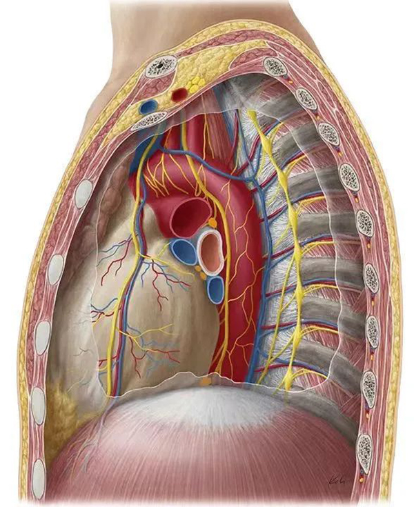 【健康科普】呼吸困难，你不曾关注的病因