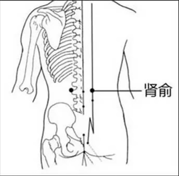 【中医科普】节气养生——小雪