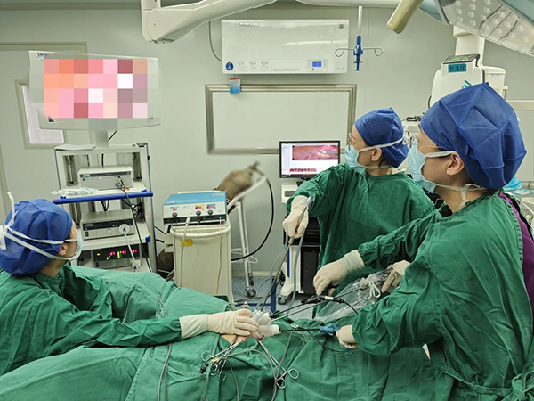 【优势专科】情人节的生死时速：妇一科多学科联动成功救治宫外孕破裂患者