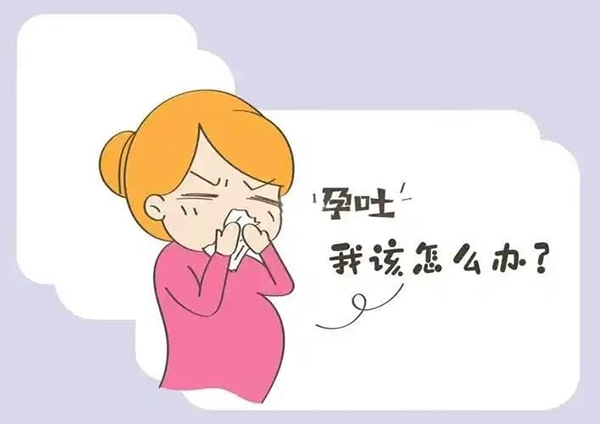【健康科普】孕吐的温柔“暴击”：那些胃里翻江倒海的清晨，是生命最铿锵的旁白