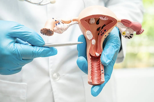 【健康科普】从“俄乌交战”谈到“宫颈糜烂”